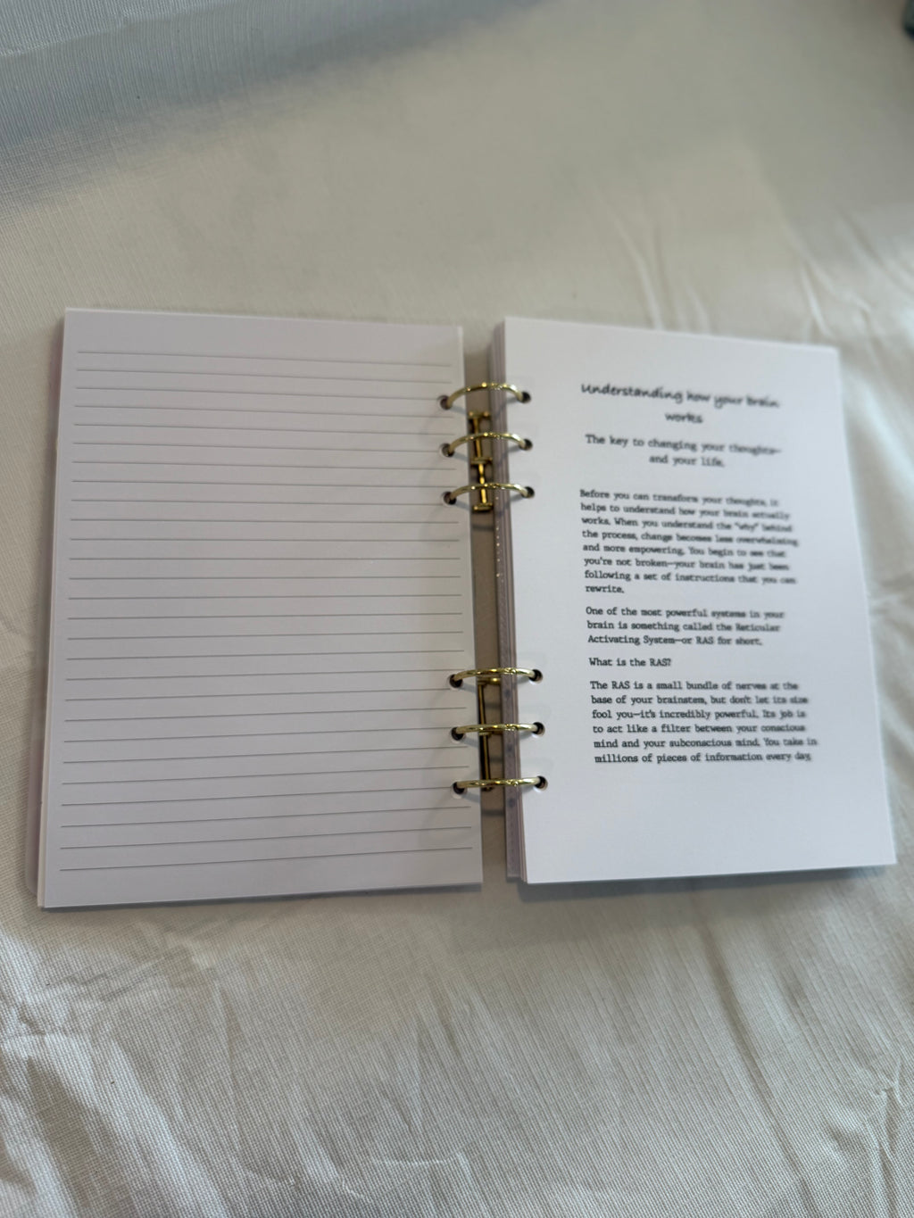 Heavenly Hydrangea - The Blue Celestite Collection