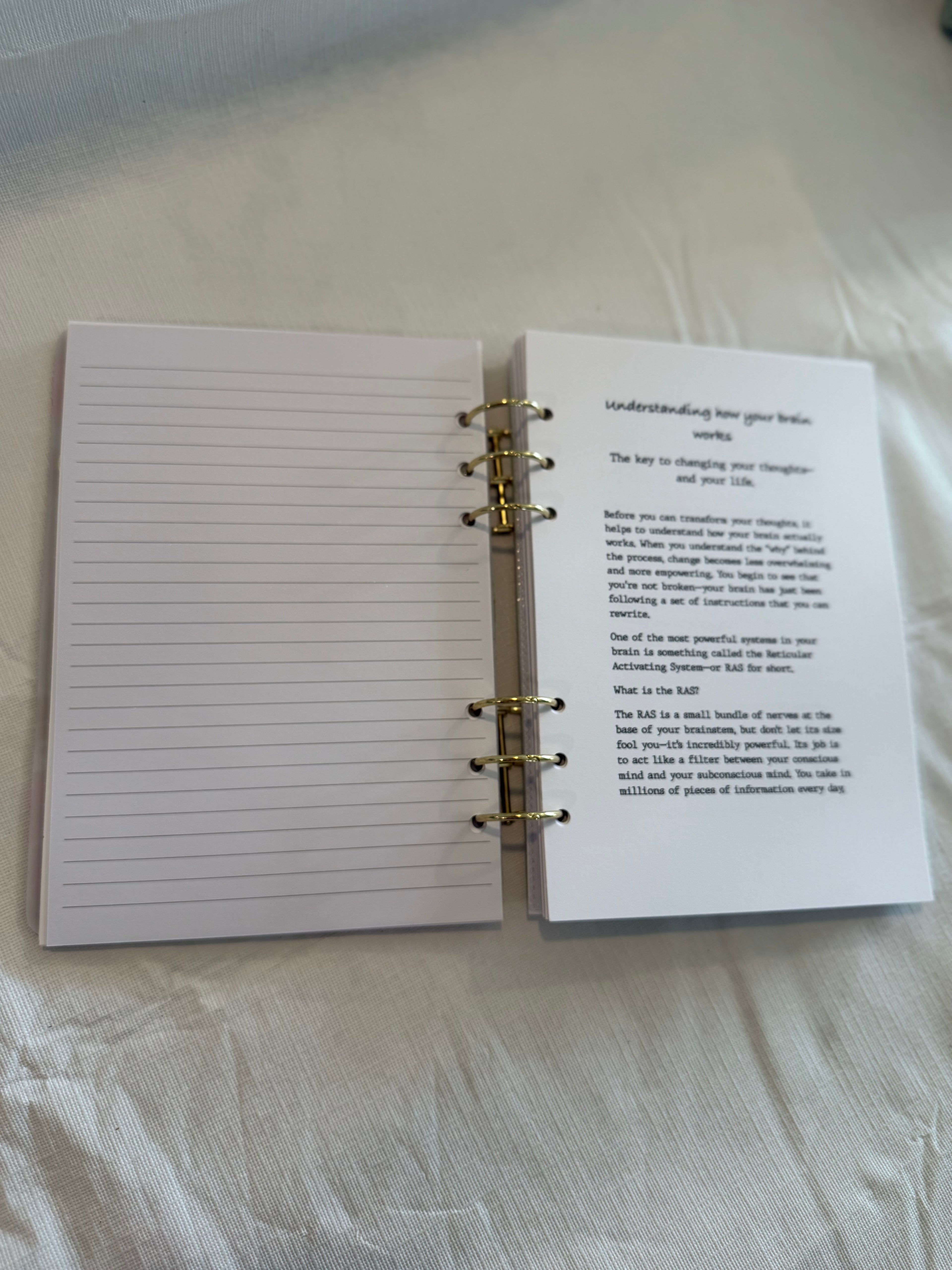 Timeless Peony - The Rose Quartz Collection